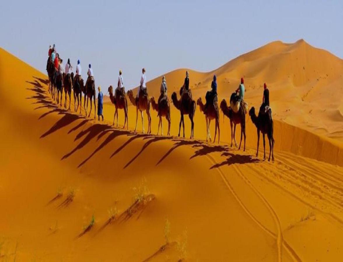 Camel Bivouac Merzouga Eksteriør bilde