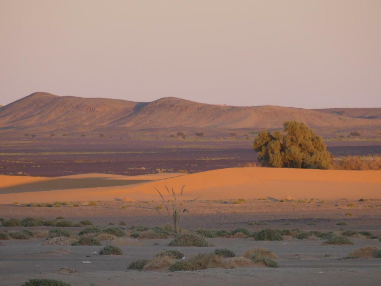Camel Bivouac Merzouga Eksteriør bilde